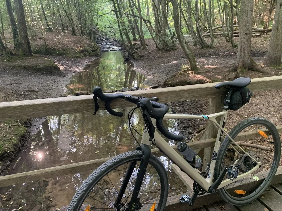 Gravelbike mit cremefarbenem Rahmen, Rennlenker und Satteltasche lehnt an einem Holzgeländer über einem Waldbach